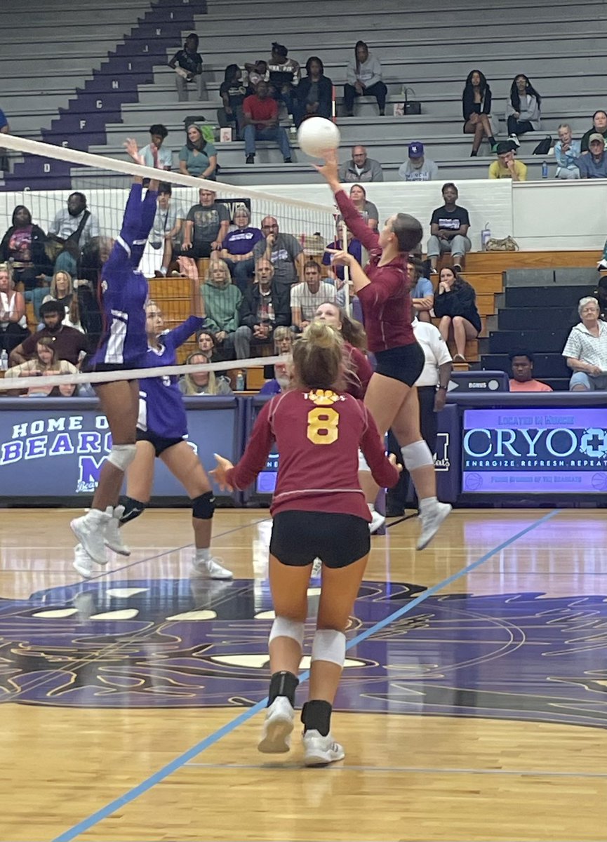 Alexandria Tigers tweet media