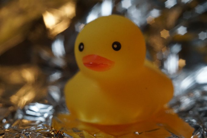 manaと蟹とアヒルとmana https://t.co/EwaPH0y6HZ