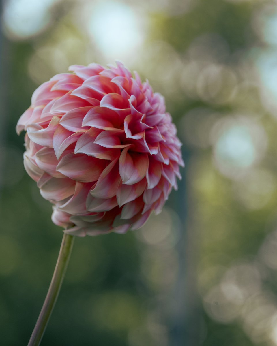 Aaron Burden tweet media