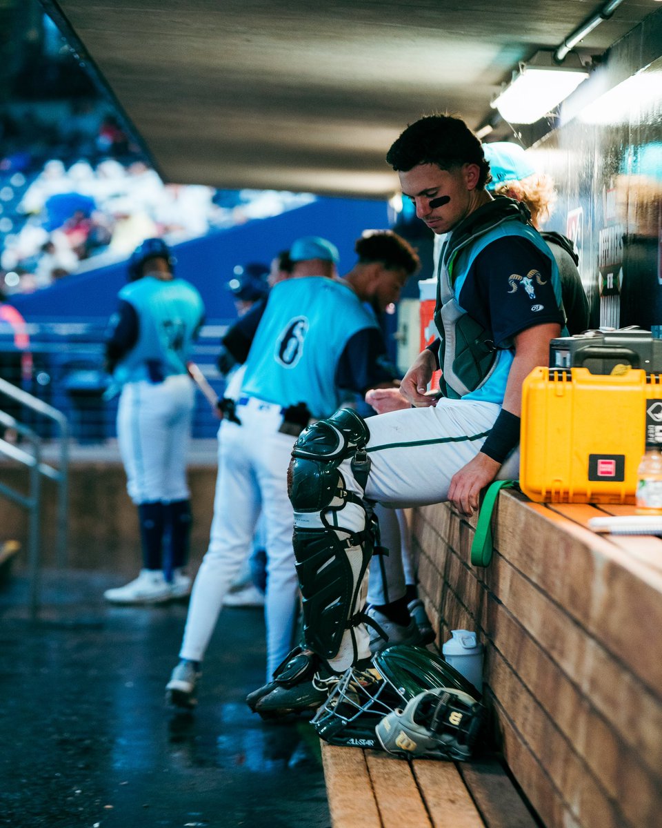 Hartford Yard Goats tweet media