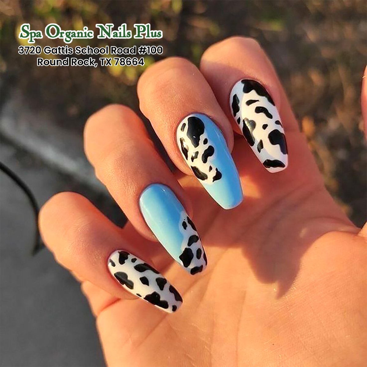 Cow Print Nails Design Ideas - Spa Organic Nails Plus
🎊spaorganicnailplusroundrock.com
#cowprintnails #cowprint #RoundRock
#spa #organicnails #nails #acrylicnails #manicure #organic #naildesigns #ilovenails #gelish #notpolish