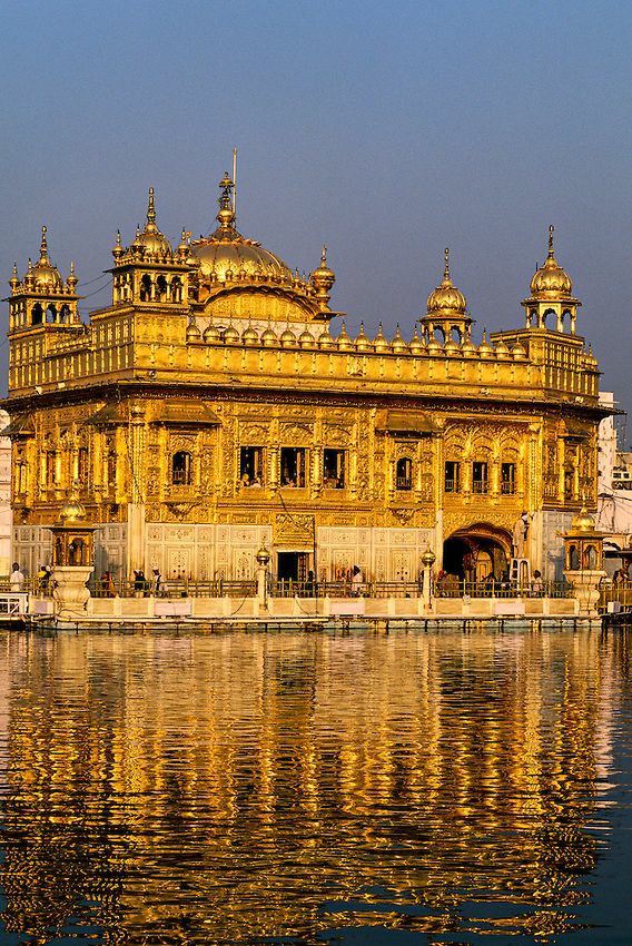 🌾🚜ਨਵਰੂਪ ਕੌਰ🌾🚜 tweet media