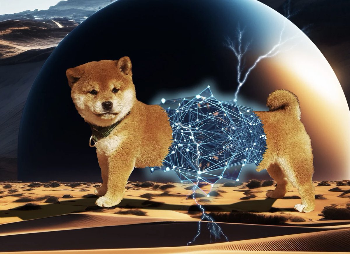 “PuppyNet is the valueless, testnet version of Shibarium Beta, a Layer-2 blockchain platform created by and for the Shiba Inu community. Like all blockchain testnets, PuppyNet is a sandbox environment where developers can experiment, build, and deploy their own (dApps).”