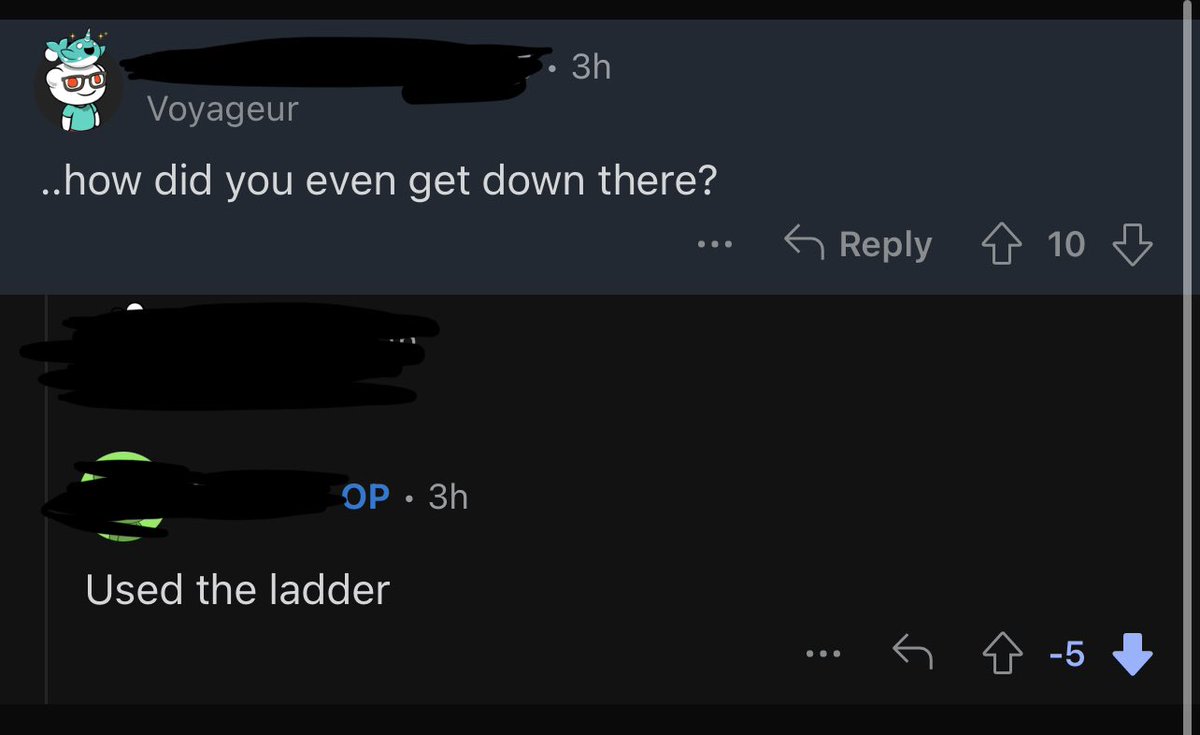 Tomasina tweet media