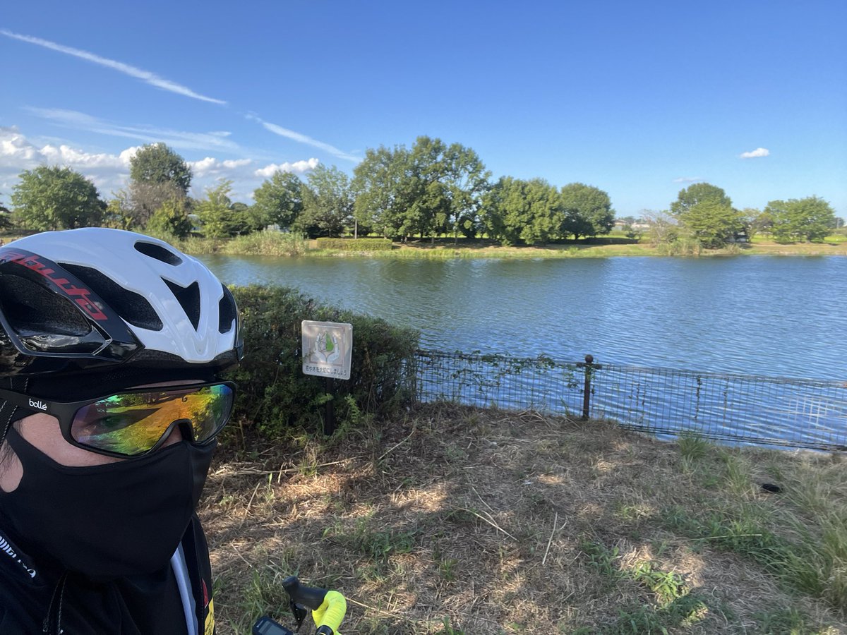 kaji_phone's tweet photo. トテモアタタカイ🚴
#aeror2 #柴山沼
#サイクリング #ロードバイク #クロモリ #myアンカー #ボレー #オージーケーカブト #埼玉
#cycling #roadbike #RNC7 #bridgestoneanchor #anchorbikes #bolle #ogkkabuto #saitama https://t.co/DHgtAFXTqA