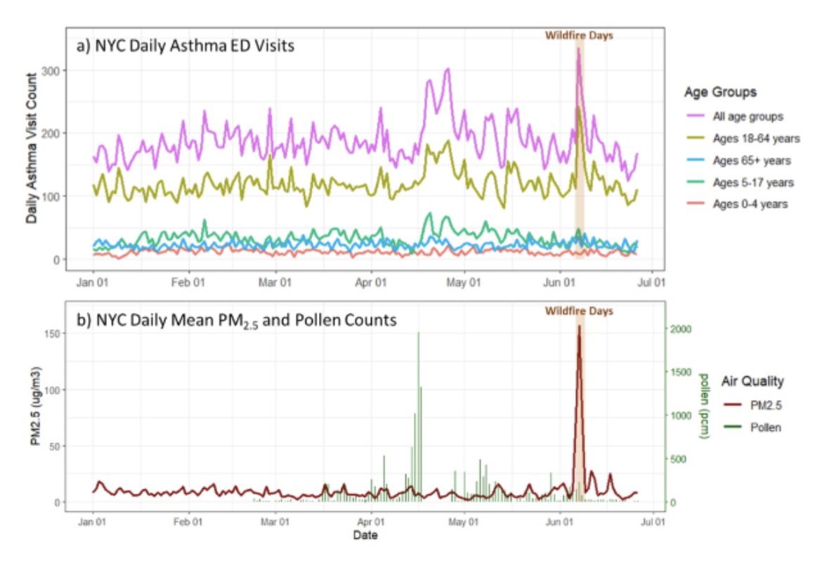 Our first analysis of the respiratory effects of the June wildfire air pollution in New York City is out! The wildfire smoke Asthma/COPD effects came to about 10 percent more than experienced on high pollen days in April. atsjournals.org/doi/abs/10.116…