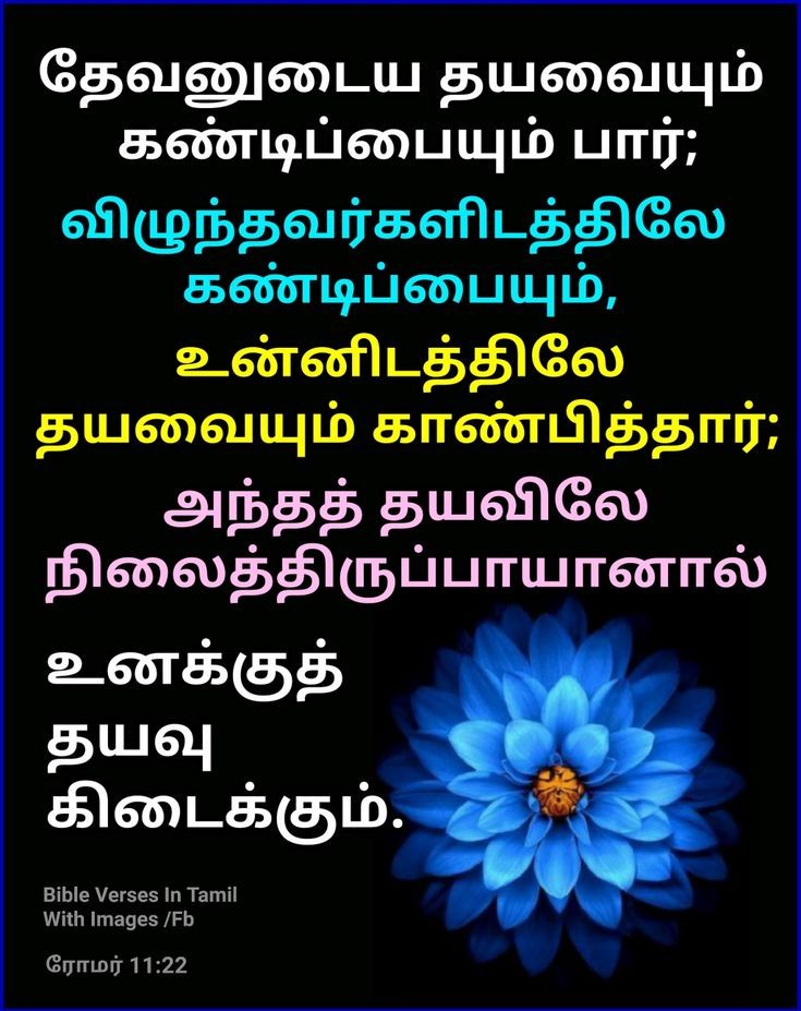 mohandavid10's tweet photo. https://t.co/QeNWJAZ8YN