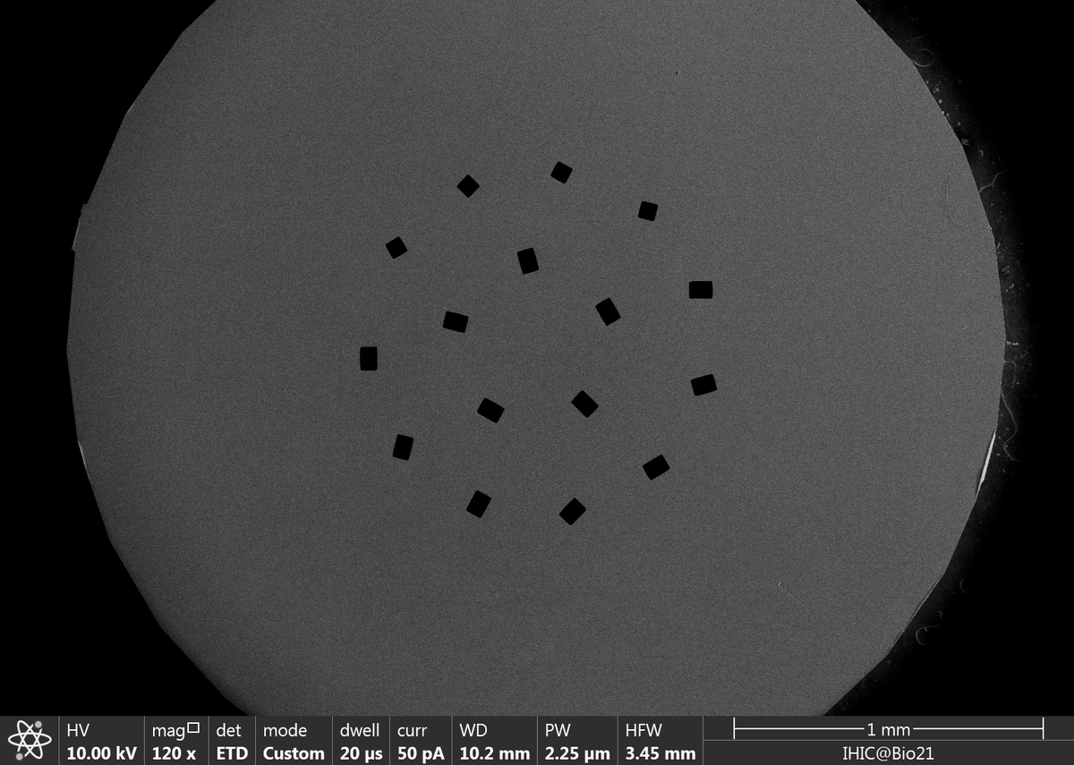 brown_hamish's tweet photo. Out on the BioRxiv today from us at the @Bio21Institute, square beams to fulfill your #cryoEM dreams. We present designs for cryo-EM apertures that allow square or rectangular beams to match your camera.  https://t.co/Dk2bMaYDK0 https://t.co/Kg2IIeaBoI