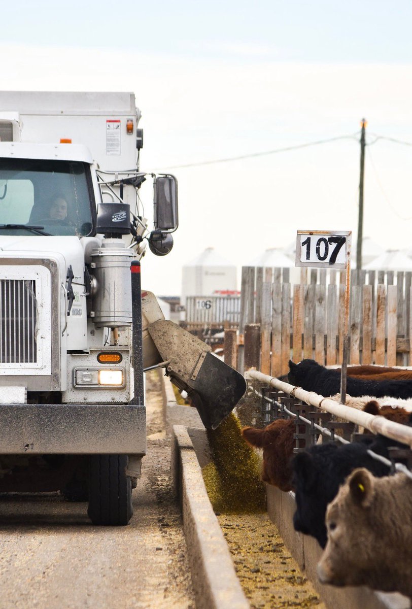 Leighton Kolk tweet media