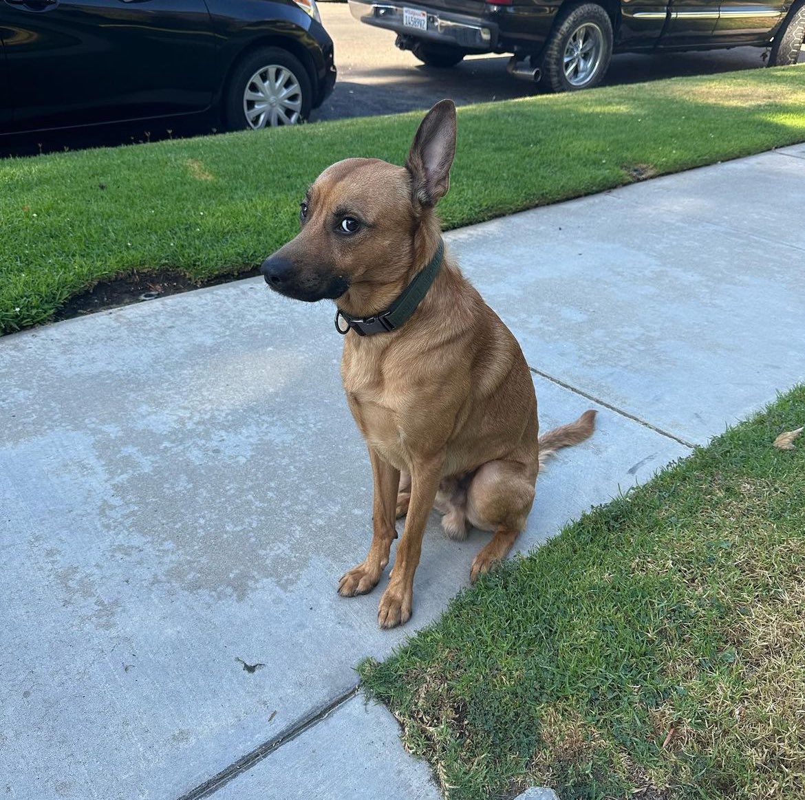 omeo 𖤐 tweet media