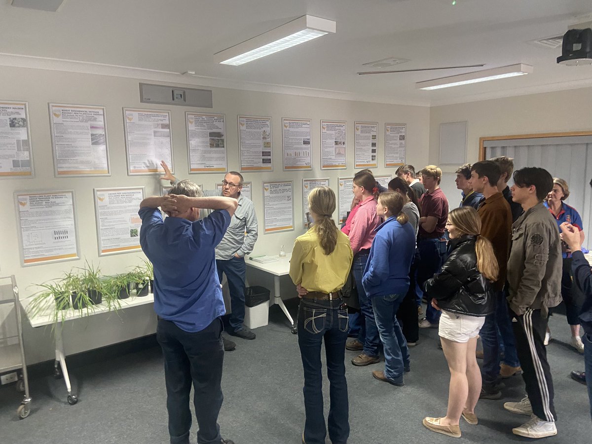 BreeAgeliki's tweet photo. There’s so much to talk about at The Centre for Crop Health @ILSE_UniSQ 
#netformnetblotch #rootlesionnematodes #powderymildew https://t.co/dUNTj1RBIR