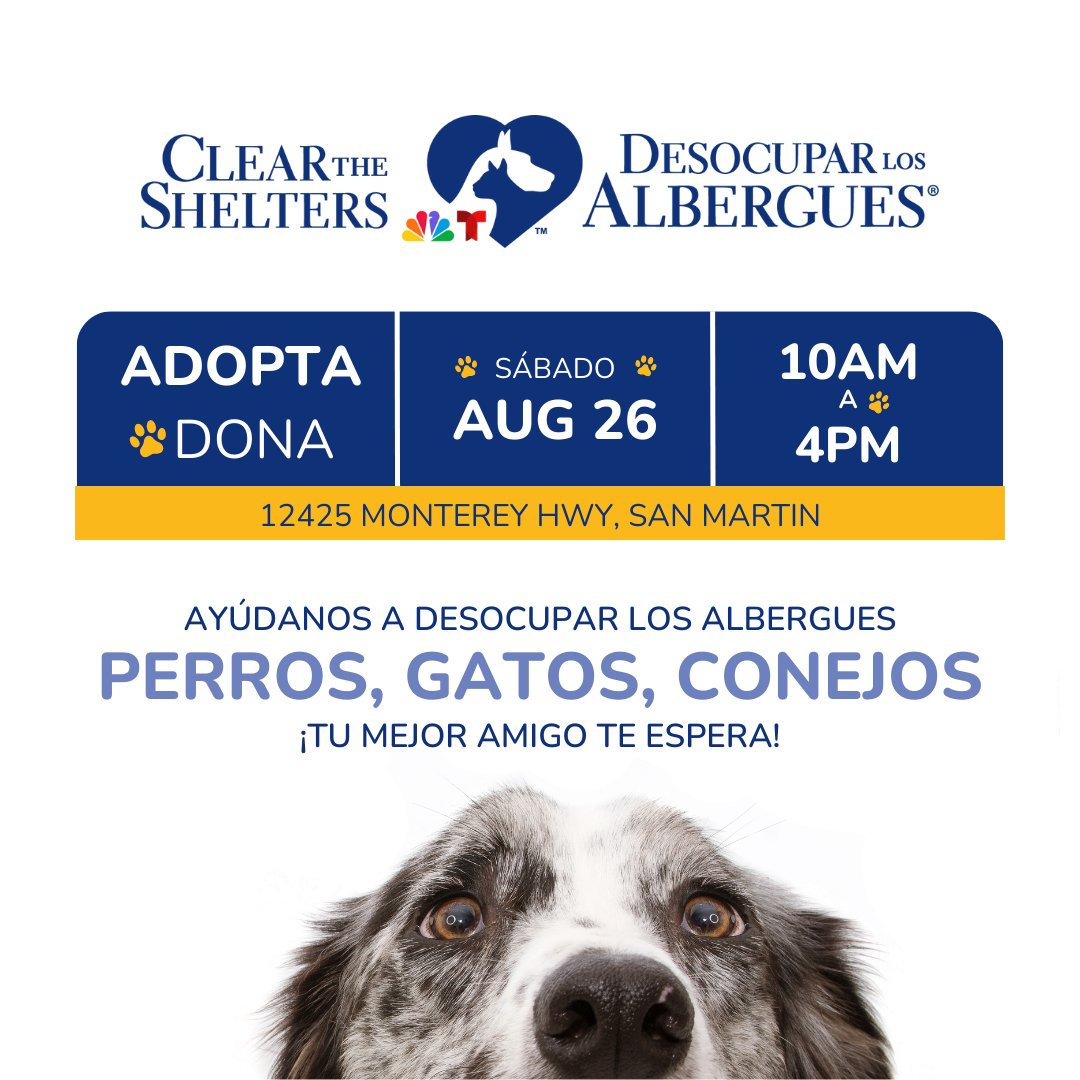 ¡Encontremos un hogar para cada animal en #DesocuparlosAlbergues este año!⁠🐶🐰🐹🐱⁠

Te esperamos el 26 de agosto en el evento de adopción de Desocupar los Albergues🐾

⏰10 a.m. – 4 p.m.
📍 12425 Monterey Hwy, San Martin
📅 26 de Agosto

#PrimerosContigo #T48