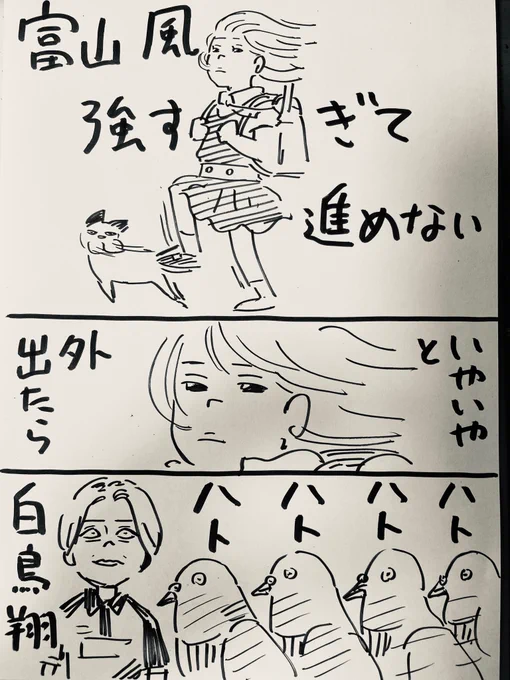 ハト 