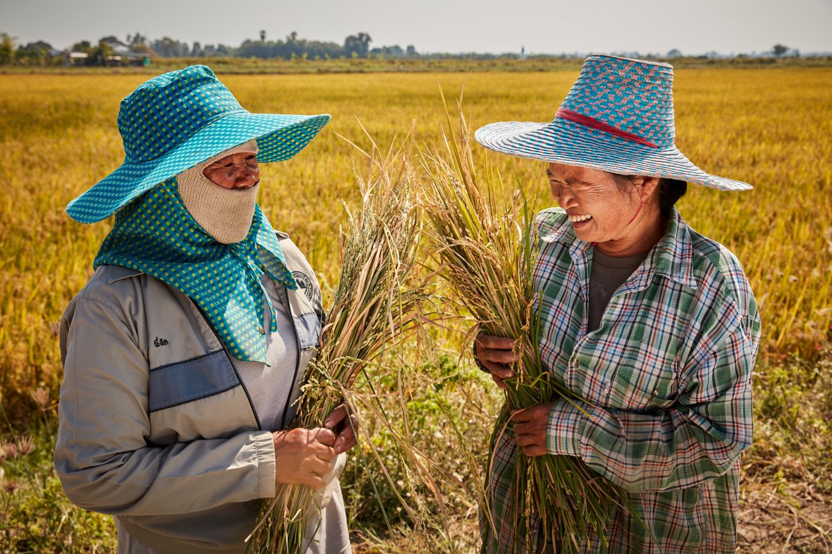 Olam Agri’s resilient H1’23 performance was led by exceptional performance & growth in the Food & Feed – Processing & Value-added segment, driven by resilient demand for our products in key markets, accompanied by better margins.