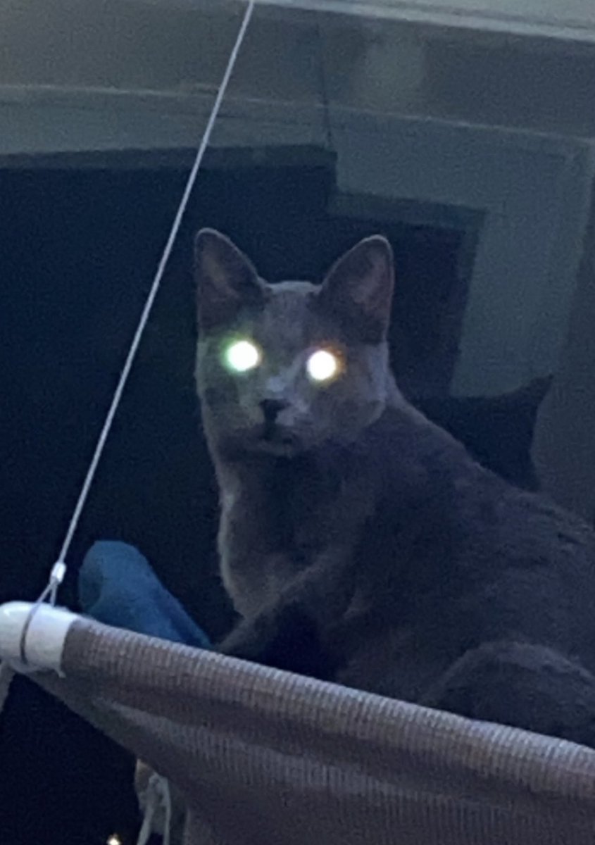 I can be your angel            Or your devil