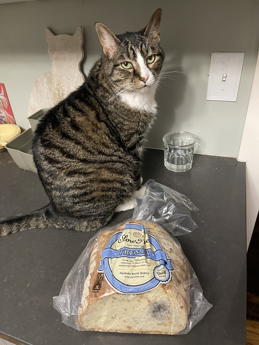 Mike (@cattlehumper) on Twitter photo Hey, <a href="/WholeFoods/">Whole Foods Market</a> how long should your $9 bread last? Not sure if I bought this on Saturday or Sunday, but damn! Hey, <a href="/WholeFoods/">Whole Foods Market</a> how long should your $9 bread last? Not sure if I bought this on Saturday or Sunday, but damn!
