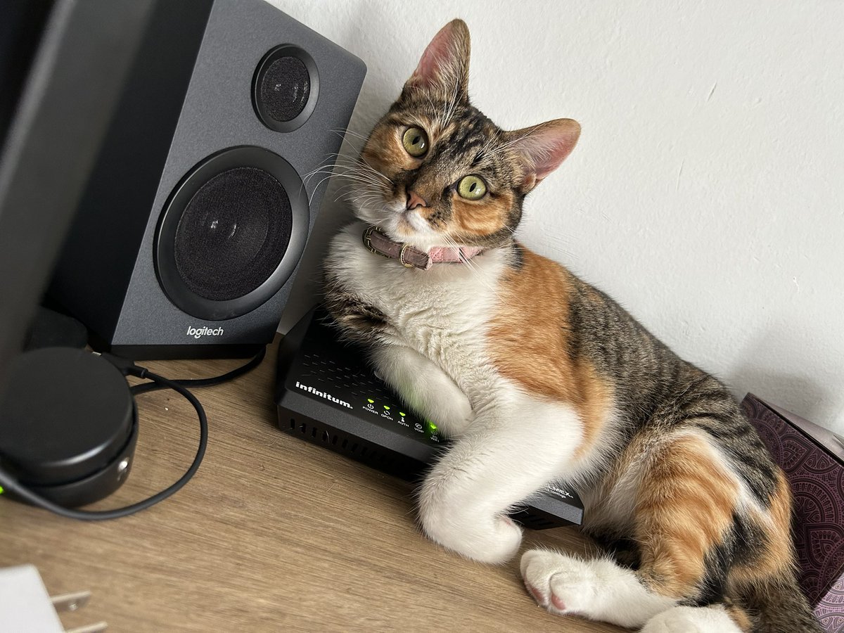 Hoy hace un año llegó a mi vida. ❤️