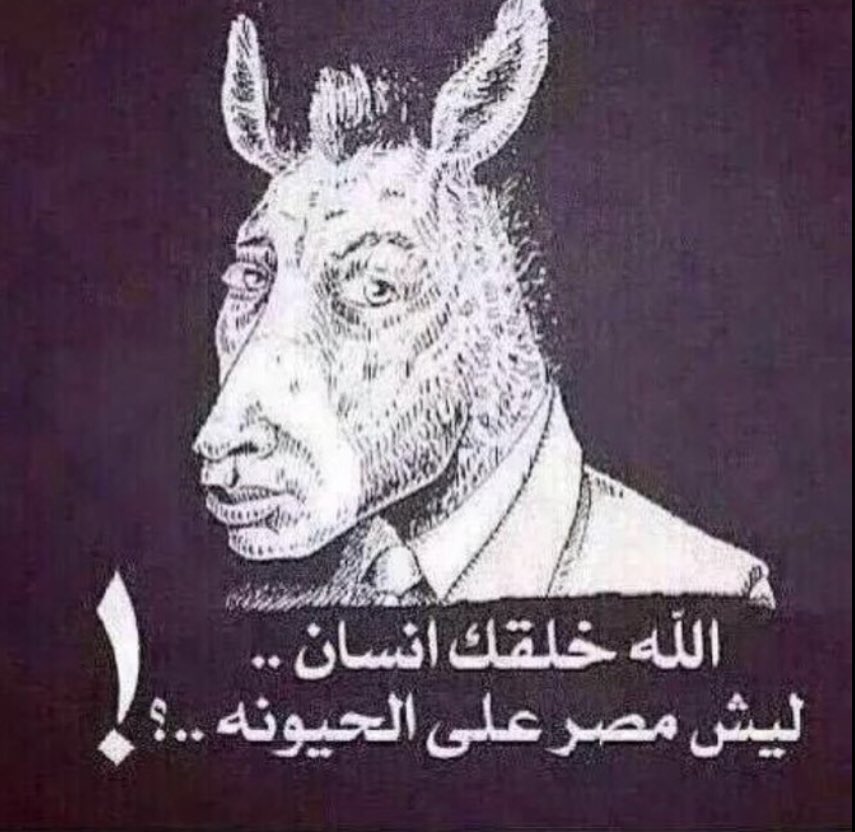 saud2379's tweet photo. @Alya_Alhwaiti نعذرك ماتعرفين  رقم مركز بلاغات وزارة الصحة  ولا تعرفين وقتها  احتفال اليوم الوطني   لانك مشردة بلا هوية ولا وطن ولا شرف https://t.co/FpL232Ip3v