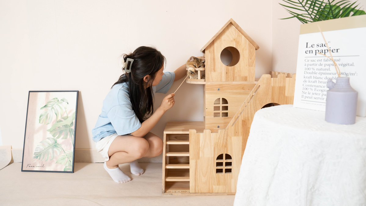 Care and cleaning advice for cat furniture. 1. Vacuum regularly, wipe the surface, deodorant can relieve odor. 2. Properly clean the cloth or wooden furniture, check the connecting parts, and provide cat claw boards to prevent scratches and prevent water damage.