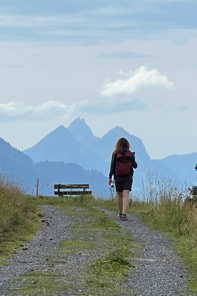 ivannasm's tweet photo. My top 3 awesome things in Switzerland:
1. Mountains
2. Trains and railways 
3. It’s calm https://t.co/0asAZWtFgZ