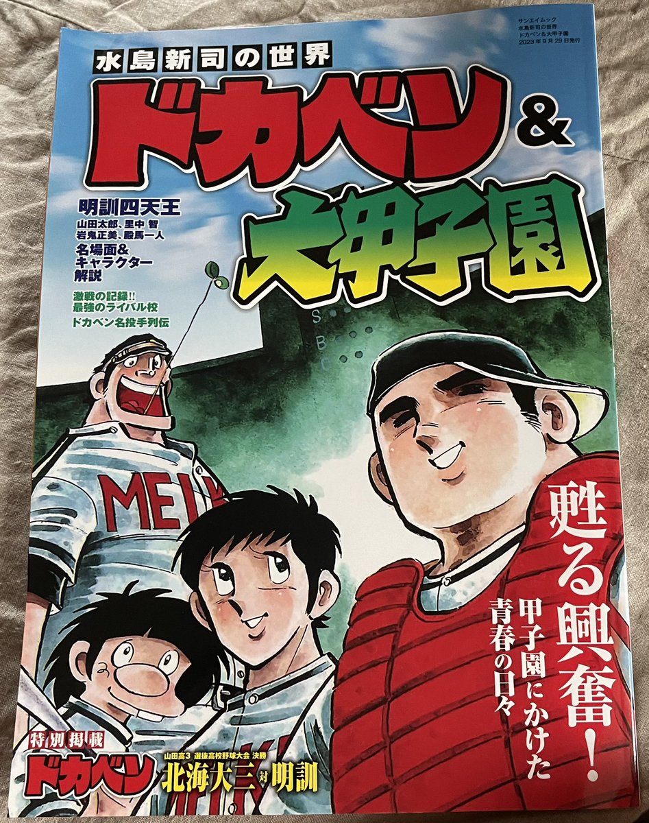 サンエイムックの『水島新司の世界 ドカベン＆大甲子園』は『ドカベン