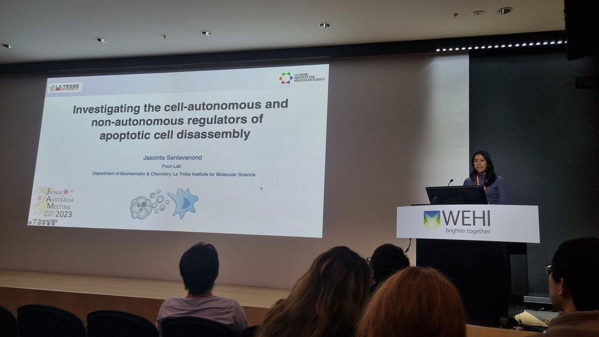 Last for our cell clearance session at #JAM2023 is Jascinta Santavanond, presenting her work on regulators of apoptotic cell disassembly! @jpsantavanond @AusCellDeathSoc @LabACDC