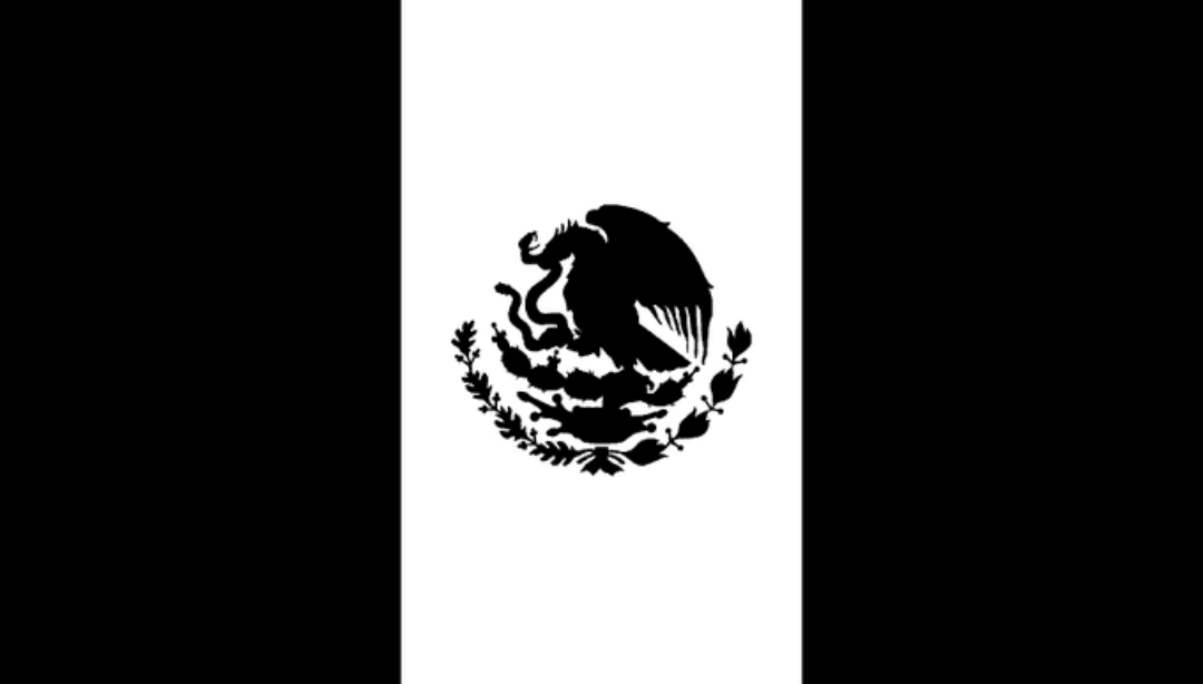 rowlott's tweet photo. #MéxicoDeLuto México está podrido gracias a ti que haces apología al narco. Tú tienes la culpa de todas las muertes y todo el horror. Tú, consumidor. Tú tienes la culpa.
#LagosDeMoreno https://t.co/pIc6HQGbTs
