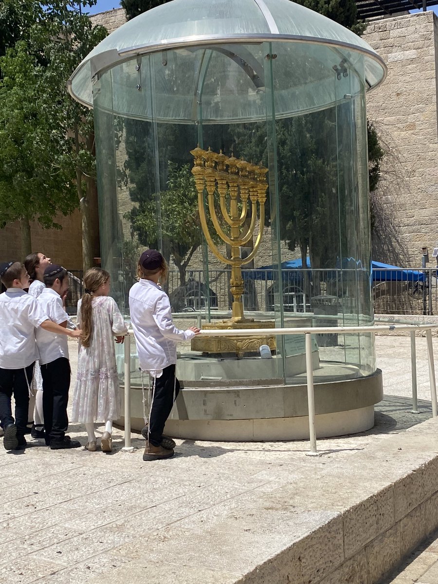 Caryl Mcmillan tweet media