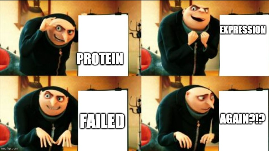 plasmidsNG's tweet photo. Having problems with your #ProteinExpression 🤯 Have you checked the #plasmid sequence?

No need for multiple techniques, just send us a mini-prep &amp; we’ll give you the whole sequence! 
No primers, no hassle!🥳
https://t.co/T0j9feh9ZI

#MolecularBiology #cloning #PlasmidSequencing https://t.co/3KJh2xegVn