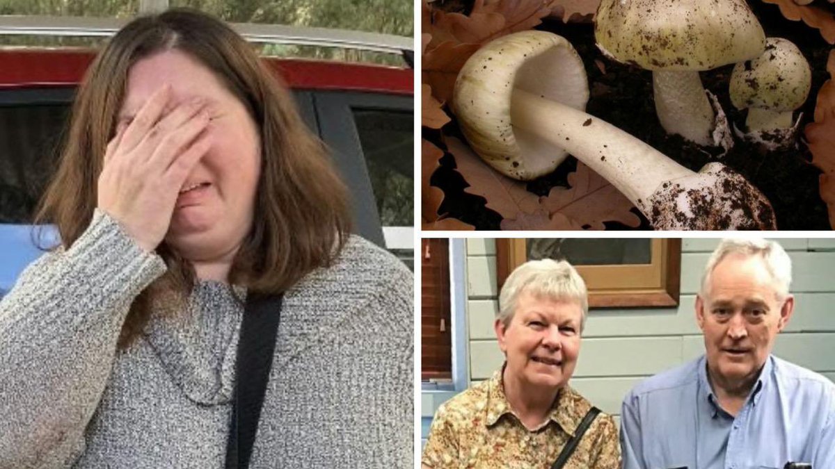 CerfiaFR's tweet photo. 🇦🇺🍄 FLASH | Trois personnes sont mortes et une quatrième est toujours dans un état critique après avoir mangé un plat cuisiné à base de champignons considéré comme le plus mortel au monde.

La maîtresse de maison, qui avait préparé le repas pour ses invités et qui est la seule à ne pas être malade, assure que c’est un accident.

Parmi les victimes se trouvaient ses ex-beaux-parents, ainsi que la sœur de son ex-beau-père et le mari de cette dernière.

👉 Son ex-mari, avec qui elle ne s'entendait plus depuis leur séparation, devait être présent lors de ce repas, mais avait finalement décliné sa proposition.