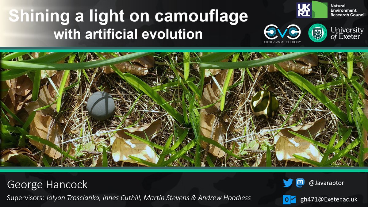 Having a great time at #Behaviour2023. Be sure to check out my talk Thursday afternoon at 17:00 in seminar room 1. 

I'll be showing the importance of light and geometry for the mechanisms of animal camouflage.