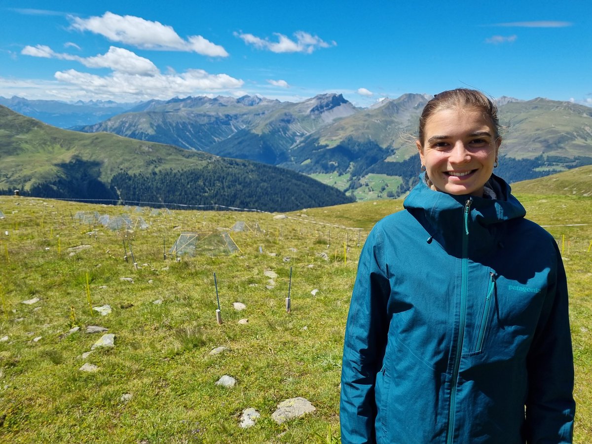 We welcome Beatrix Junghard as a new Masterstudent! She will work on our highest @BugNet_research site, assessing herbivore and pathogen damage of fast/slow and rare/common species