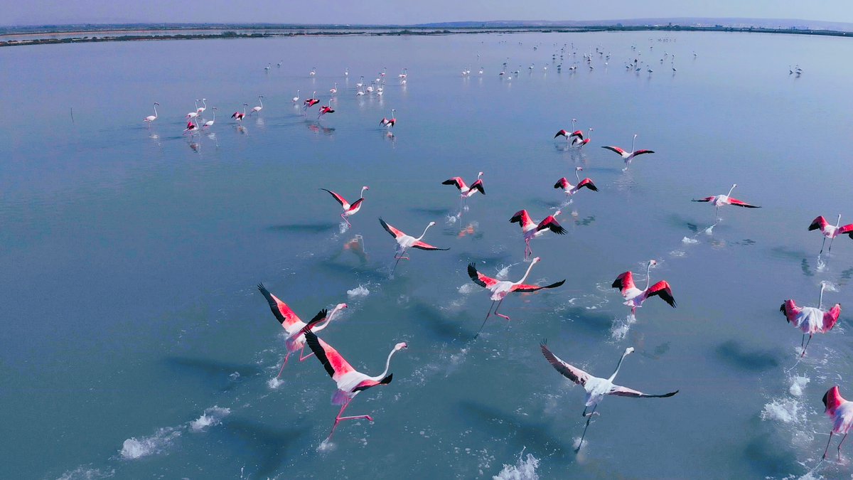 TrainInSpain tweet media