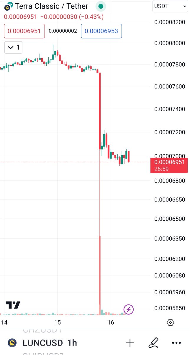 Hailey LUNC XRP tweet media