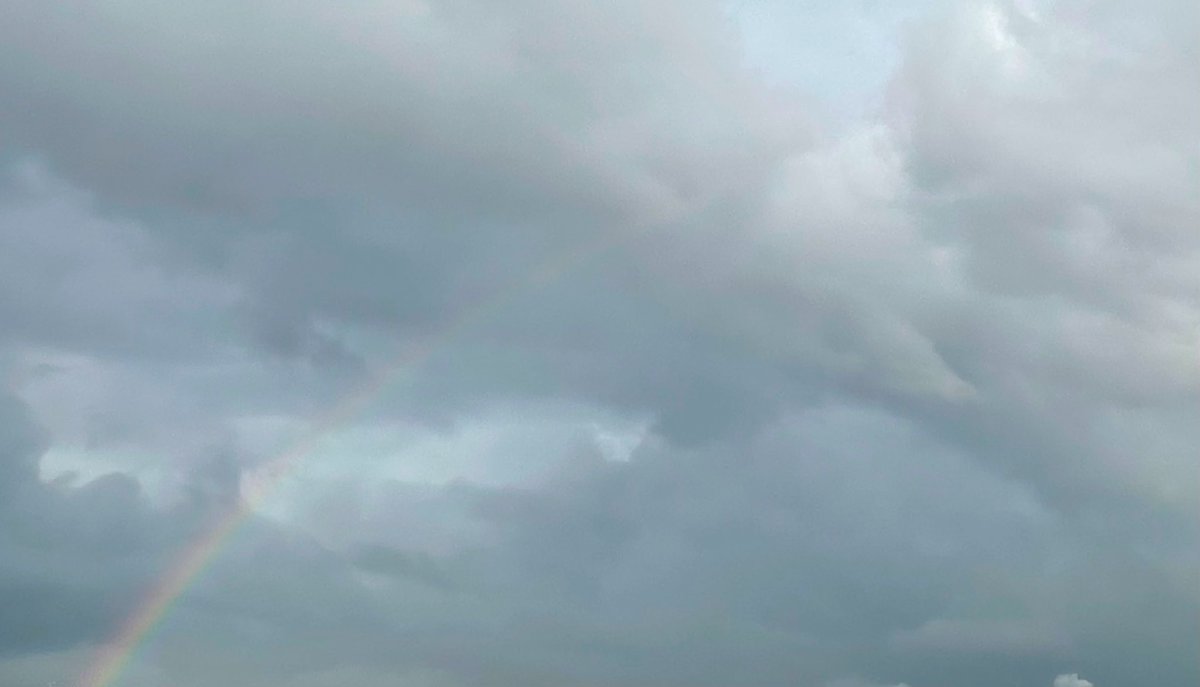 kato1y's tweet photo. 外へ出て空を見上げたら🌈👀 https://t.co/VeNt40uz5q