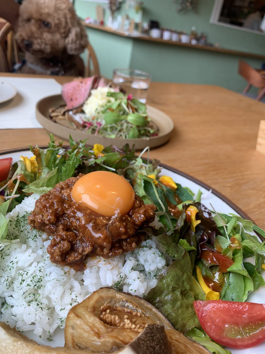 PINKMEN's tweet photo. 軽井沢で野菜買って、花屋カフェ行って、農園ランチ食べて、会社SHOP寄って夕方帰宅した日帰りドライブ。高速空いてたぁ!https://t.co/DyqSgcBbMf
#JORDyfarmkichen
#haluta #gaflo #軽井沢 #犬ok https://t.co/eGXDntSv68