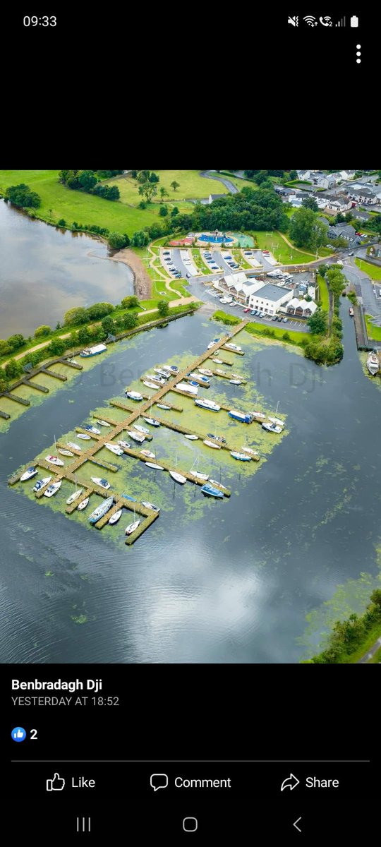"The Lough is dying" 
Lough Neagh, Ballyronan Marina.