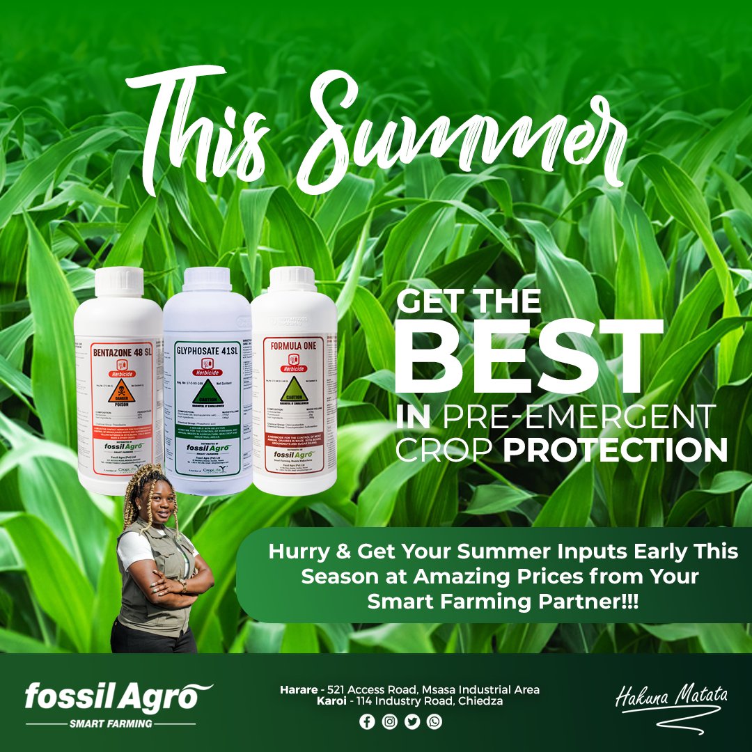 Contact Us Today for an our Expert Agronomy Team will Help You Achieve a Bumper Harvest!

Tapiwa (Mash Central) - 0712079023
Dionne (Mash East) - 0712079044
Herbert (Manicaland &amp; Masvingo) - 0774951090
Ngoni (Mash West)- 0773217129
Terence (Midlands &amp; Matabeleland)- 0712859063