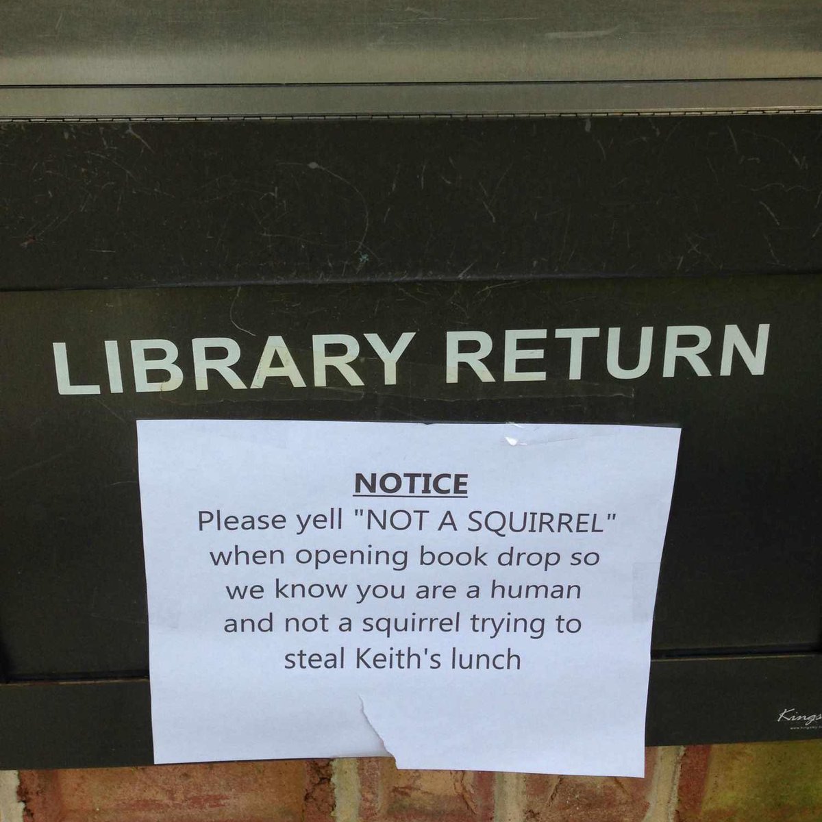 GDgeek's tweet image. 🚫 🐿️ 😆 #NotASquirrel