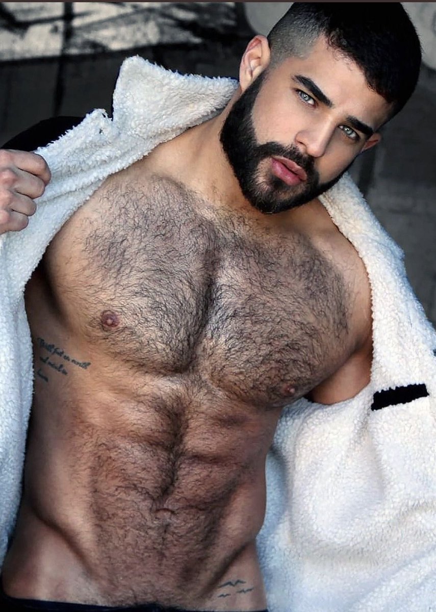 Hairy Inc. (@hairyinc) on Twitter photo 