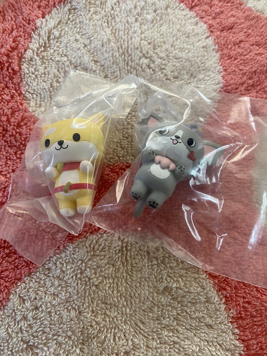 まるまる昭和🦊 tweet media