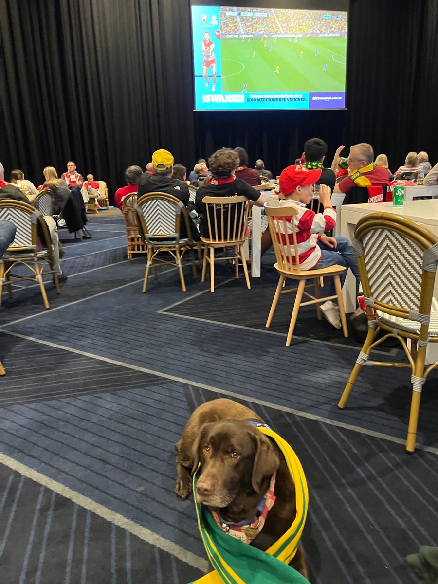Assistance Dogs Australia (@assistancedogs) on Twitter photo If there's one thing an Assistance Dog appreciates, it's the joy of chasing after a ball. That's why everyone at Assistance Dogs Australia - dogs and humans alike - will be cheering on <a href="/TheMatildas/">CommBank Matildas</a> as they take on England in the FIFA Women's World Cup semi-final tonight! If there's one thing an Assistance Dog appreciates, it's the joy of chasing after a ball. That's why everyone at Assistance Dogs Australia - dogs and humans alike - will be cheering on <a href="/TheMatildas/">CommBank Matildas</a> as they take on England in the FIFA Women's World Cup semi-final tonight!