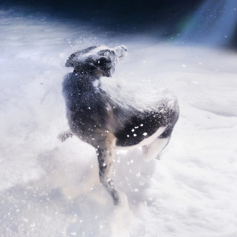 ALBUM REVIEW: <a href="/stolenjars/">Stolen Jars</a>- I Won't Let Me Down
music.mxdwn.com/2023/08/16/rev…
#stolenjars