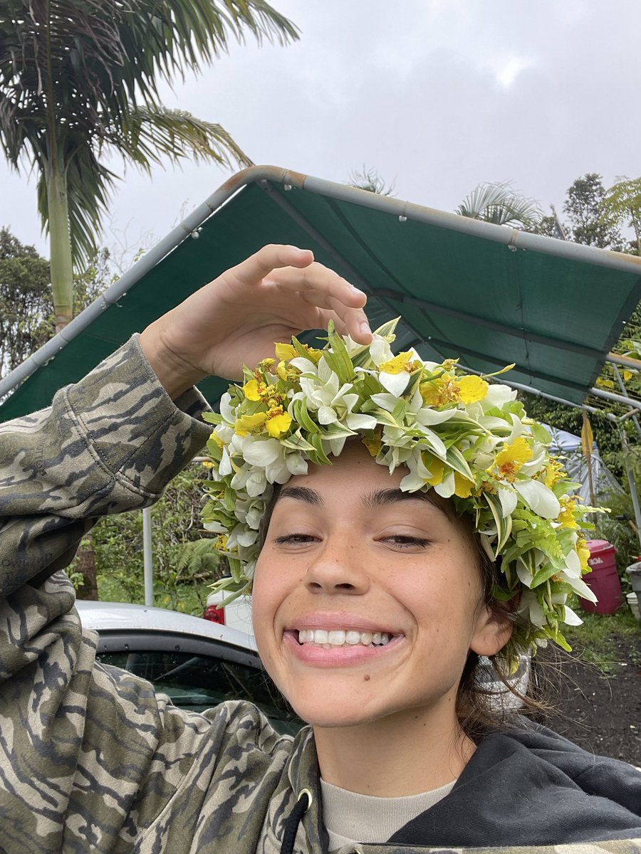 1122Blessed's tweet photo. @crazydollsnft has released the crown flower trait in Hawaii we call it haku or lei poó #Dollish https://t.co/z9cIiDJYzq