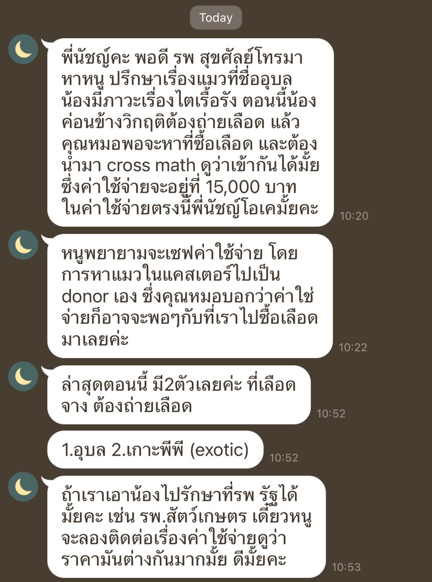 CatsterClub's tweet photo. สวัสดีค่ะ ทุกคน 

ตอนนี้เรามีเรื่องเร่งด่วนที่อยากขอความช่วยเหลือจากคนรักแมว 

เรามีแมวสองตัวที่เราต้องถ่ายเลือดด่วน 

1. อุบล เป็นแมวที่เราช่วยชีวิตมาจากเจ้าของคิดจบชีวิตด้วยพิษเศรษฐกิจ เราจึงไปช่วยมาทั้งบ้าน 

2. เกาะพีพี แมวฟาร์มจากพิษเศรษฐกิจเช่นกัน 

3. แมวน้อยที่ลุงสามเสนไปช่วยชีวิตมาจากข้างทาง 

4. แมวอีก สองสามตัว ที่แคทสเตอร์สนาม 

น้องต้องถ่ายเลือดด่วน และ ตัวอื่น ๆ ต้องรักษาอย่างทันท่วงที 

ในเคสถ่ายเลือด เราจึงซื้อเลือดในเบื้องต้นก่อน เพื่อรักษาชีวิตน้อง แต่เราจะนำแมวที่แคทสเตอร์ที่เราดูแลจนอ้วนพี ทยอยไปครอสแมตส์รอ ซึ่งขึ้นตอนนี้ใช้เวลานาน และกว่าจะหาเลือดที่เข้ากันได้นานมาก ๆ ค่ะ เราจึงขอเร่งรักษาชีวิตน้อง ๆ ก่อนนะคะ ซึ่งใช้เงินสูงเหมือนกัน 

เรามีสติ๊กเกอร์ใหม่มาเสนอขาย เพื่อหาเงินไปรักษาเด็ก ๆ ค่ะ ใครที่อยากช่วยเด็ก ๆ ให้ได้ไปต่อ ช่วยซื้อสติ๊กเกอร์ของเราหน่อยนะคะ 🙏