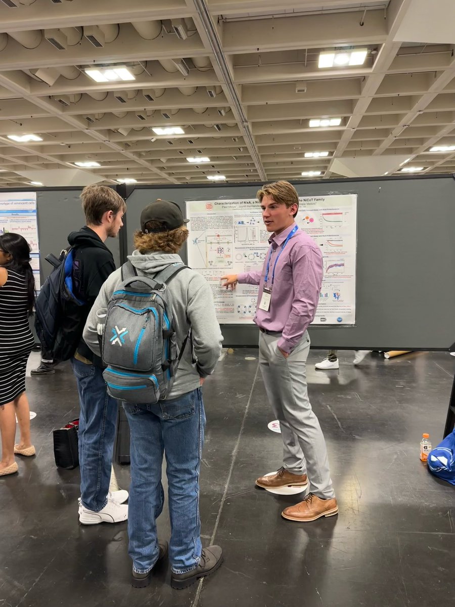 Paul Micus tweet media