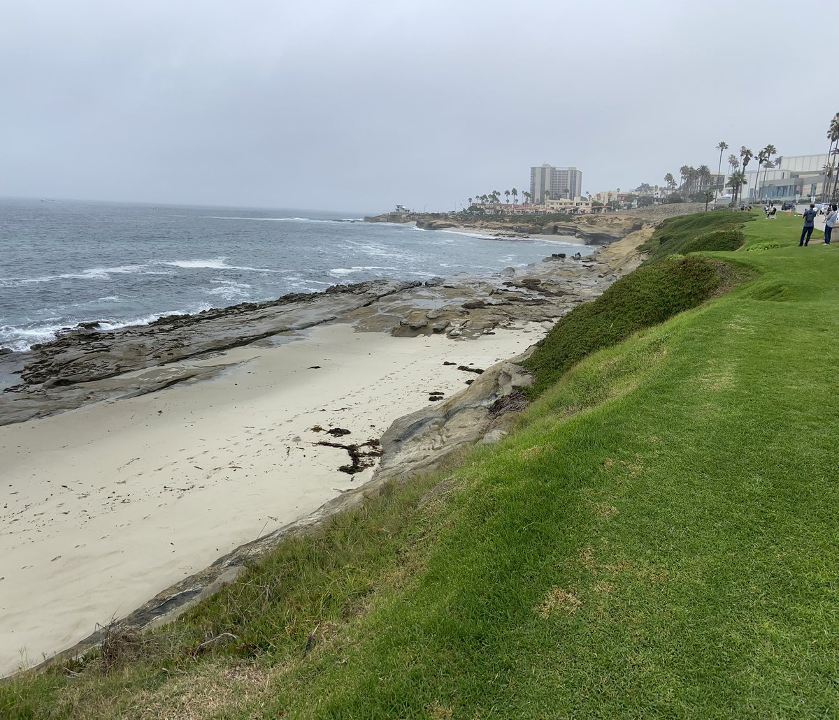 Last day of summer vacation! I took a stroll along the coastline and it felt so good to take a moment to enjoy simplicity. Tomorrow, the school chaos begins! I hope everyone has a great 23-24 year!