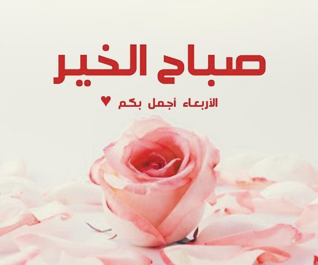 h7pmq's tweet photo. #صباح_الخير 
#صباح_الخير_والسعاده_للجميع 

أَللَّهُمَّ لَكَ الْحَمْدُ أَنْ خَلَقْتَ فَسَوَّيْتَ، وَقَدَّرْتَ وَقَضَيْتَ، وَأَمَتَّ وَأَحْيَيْتَ، وَأَمْرَضْتَ وَشَفَيْتَ، وَعافَيْتَ وَأَبْلَيْتَ، وَعَلَى الْعَرْشِ اسْتَوَيْتَ، وَعَلَى الْمُلْكِ احْتَوَيْتَ..🤍 https://t.co/xsnfE5zL1Y