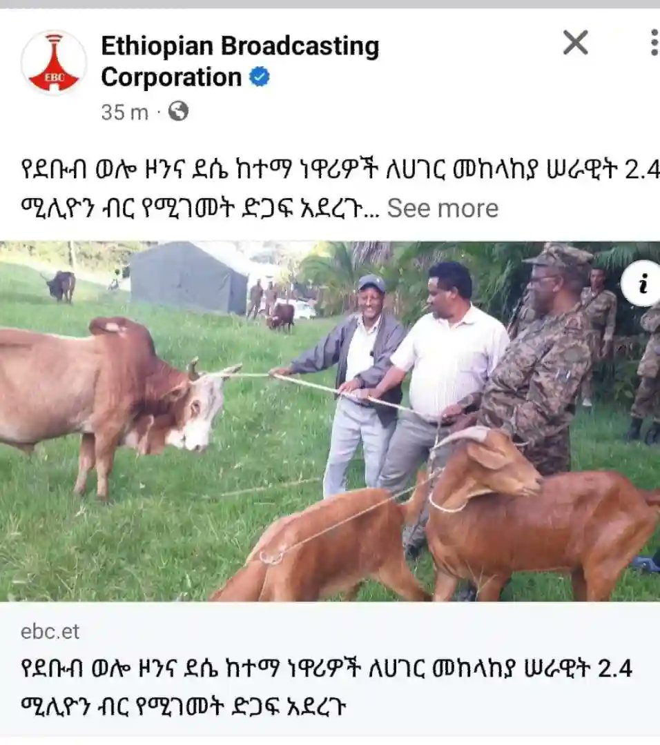 SabaaGumaa's tweet photo. ዴቡብ" ወሎና'' ዴሴ" የአማራ ትግል ላይ ቀዝቃዛ ውሃ ቼለሰ ዴሴ ገራገሩ😋😋 https://t.co/dBcNr27psI