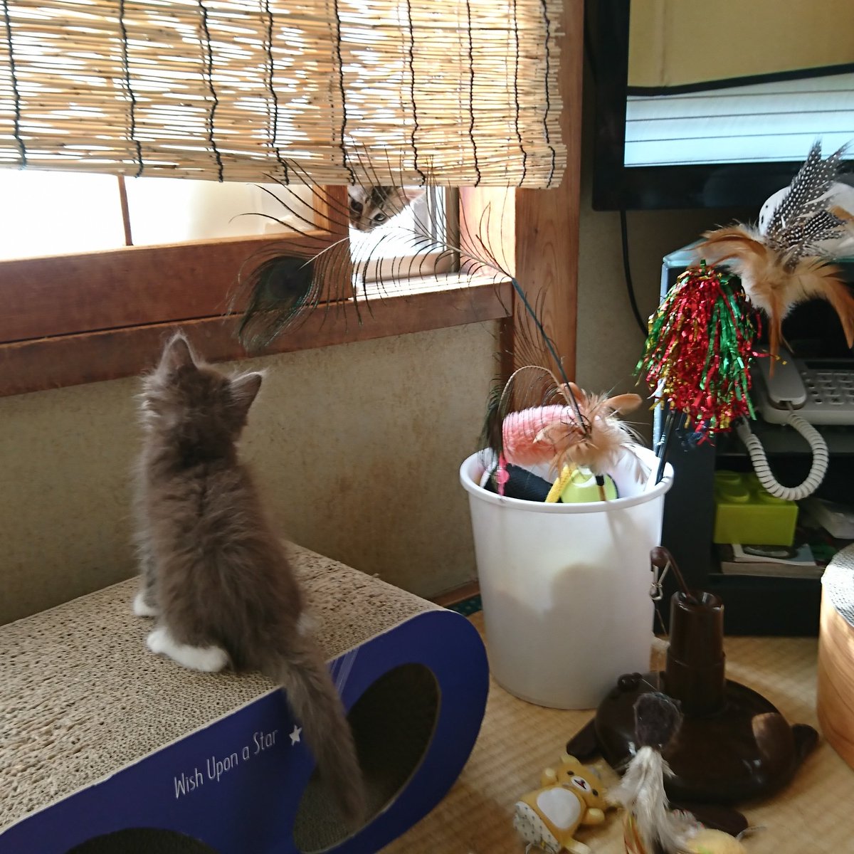 Lauterkeit1's tweet photo. 【母、やってもーた】

電子レンジで雷おこしたー！

説明するのに実現してみせた。

怖いよー電子レンジ https://t.co/3w9x46wuwK